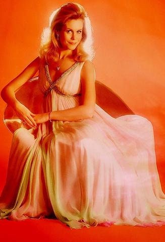 Gorgeous 1960s A Line Evening-Sleepwear Nightgown - Peppermint-Twist-Vintage.com