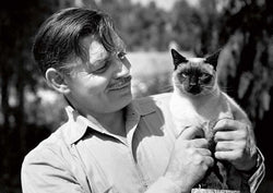 A Salute to the Glorious Leading Men from Hollywood Past --- with CATS