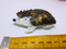 Vintage Inspired Large Porcupine Brooch